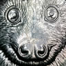 Daves Errors's Avatar